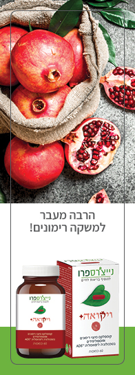 NP web products banners 4 (1)