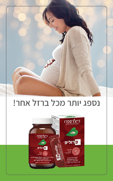 NP web products banners mobile 3