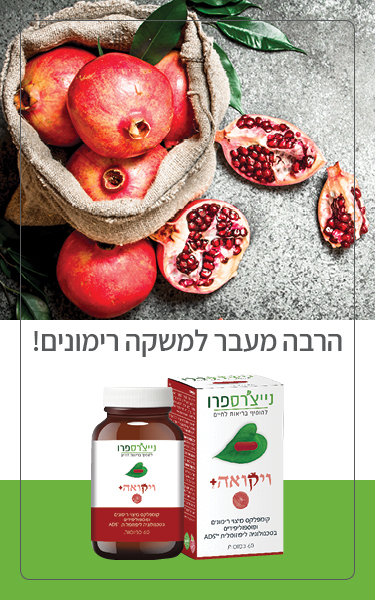 NP web products banners mobile 4